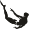 proteus_network_logo_black